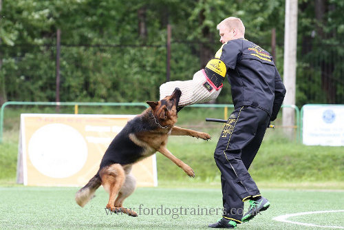 schutzhund dog training suit